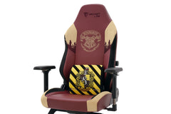 Secretlab Memory Foam Lumbar Pillow - Harry Potter Edition