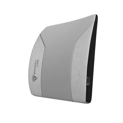 Secretlab Lumbar Pillow Pro