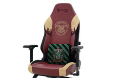 Secretlab Memory Foam Lumbar Pillow - Harry Potter Edition