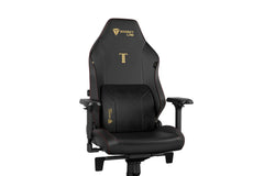 Secretlab Lumbar Pillow Pro
