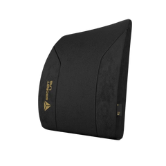 Secretlab Lumbar Pillow Pro