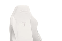 Secretlab TITAN Evo